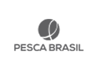 Pesca Brasil Pesca Brasil